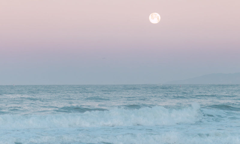 Summer Horoscopes for Every Sign