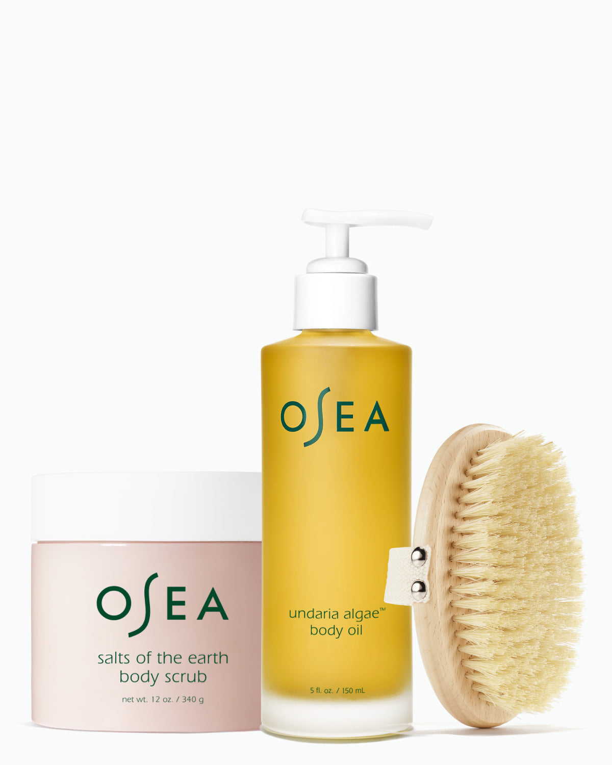 Undaria Seaweed Collection 2
