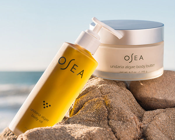 Undaria Seaweed Collection